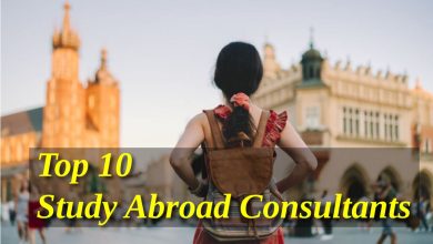 Study Abroad Consultants