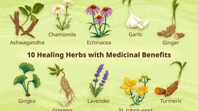 Top 10 Medicinal Plants