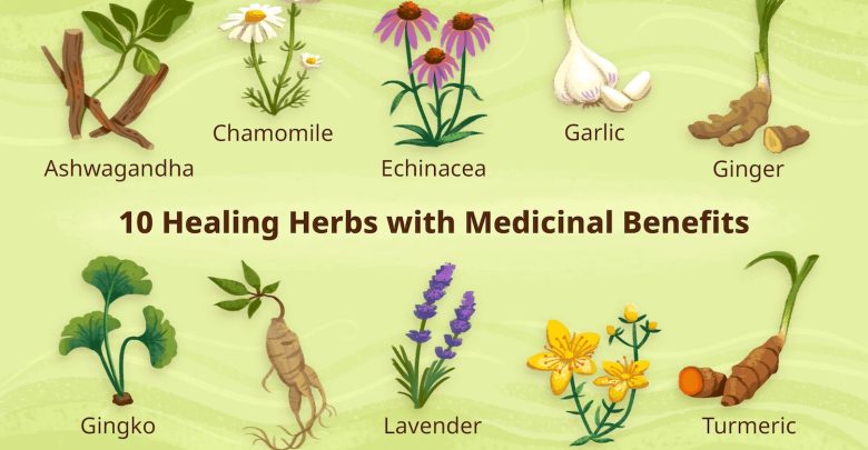 Top 10 Medicinal Plants