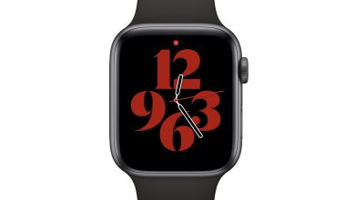 Red Dot at Top of Apple Watch