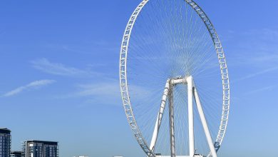 Top 10 Biggest Ferris Wheel in the World