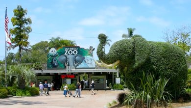 Top 10 Biggest Zoos in the World