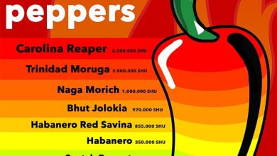 Top 10 Hottest Peppers in the World