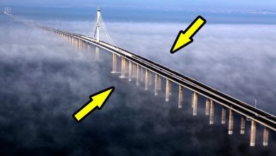 Top 10 Longest Bridge in the World