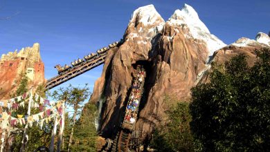 Top 10 Rides in Disney World