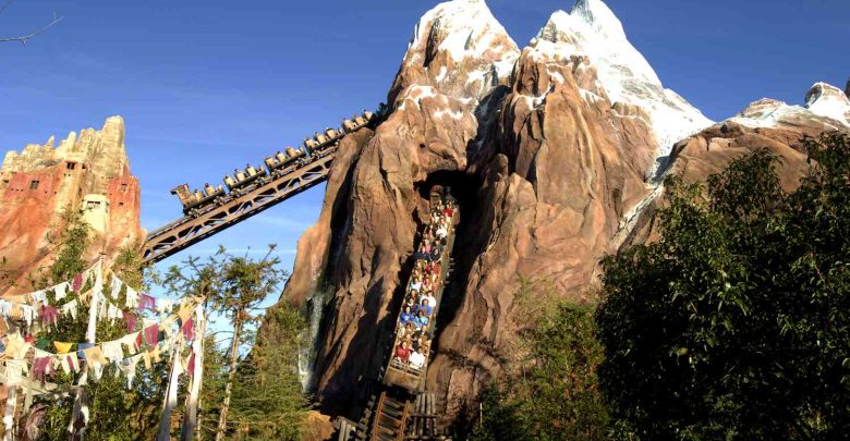 Top 10 Rides in Disney World