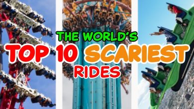 Top 10 Scary Roller Coasters in the World