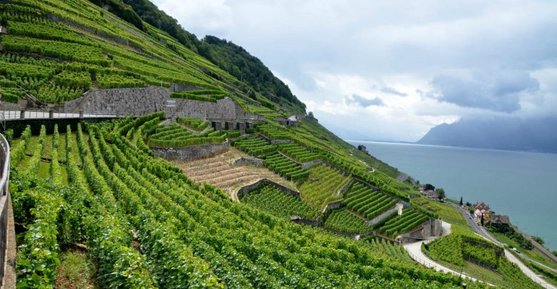 Top 10 Wineries in the World