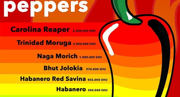 What are the Top 10 Hottest Peppers in the World